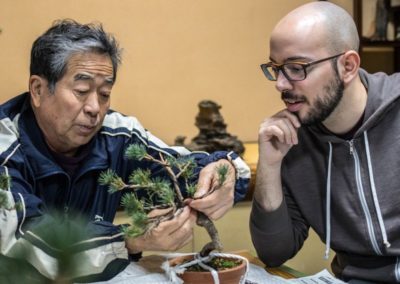 L'arte del bonsai
