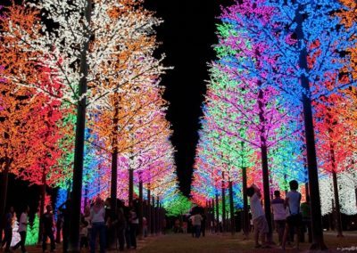 Illuminazioni invernali a tokyo