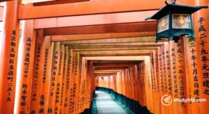 Japanese letters on tori gates