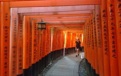 Exploring religion: Shintoism and Confucianism