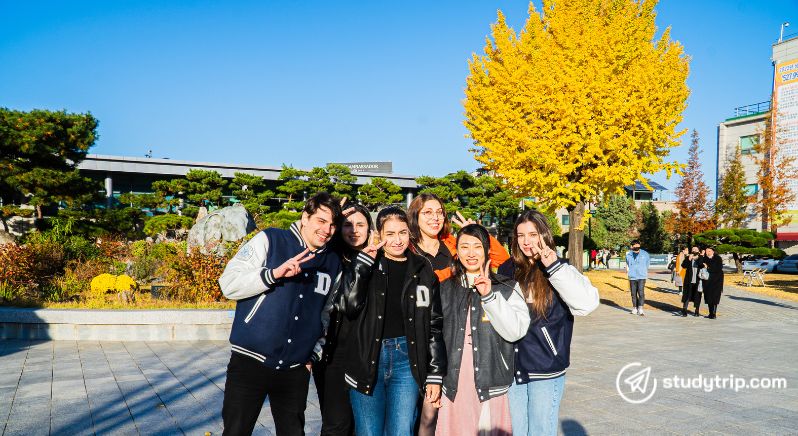 student study abroad opportunities