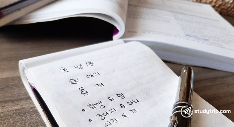 handwritten hangul