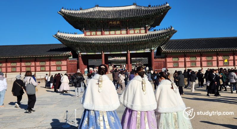 Benefits of educational travel